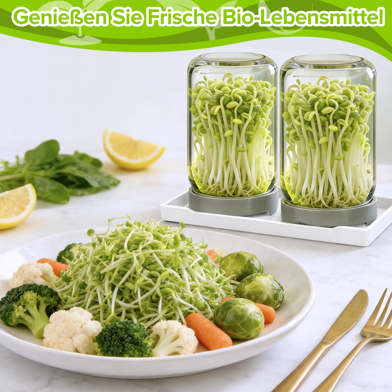 Lot De 3 Bocal De Germination, 900ml Pots Mason à Large Ouverture Couvercles De Germination, Pots De Germination Lot, Plateau à éGouttage Et Brosse Nettoyage, pour La Luzerne Potager Familial