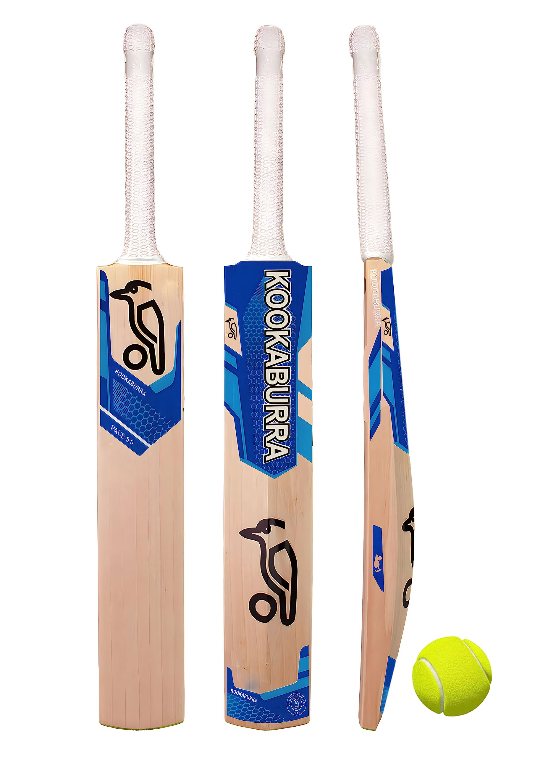 Florence The Boss Edition Cricket bat Popular Willow Full Size bat for Boys and Girls Multicolor (Blue bat with Ball) (B0C9MSR1NL) Amazon Price History, Amazon Price Tracker
