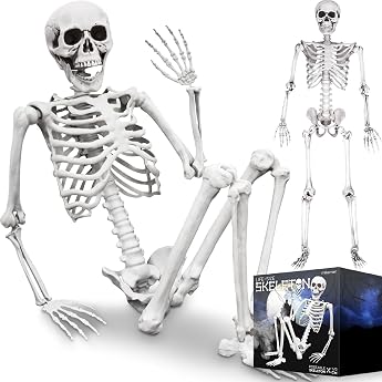 MikaMax Life Size Skeleton 1.70m Realistic Design Halloween Decoration Ideas Graveyard Haunted Bone Measures 170 x 45cm
