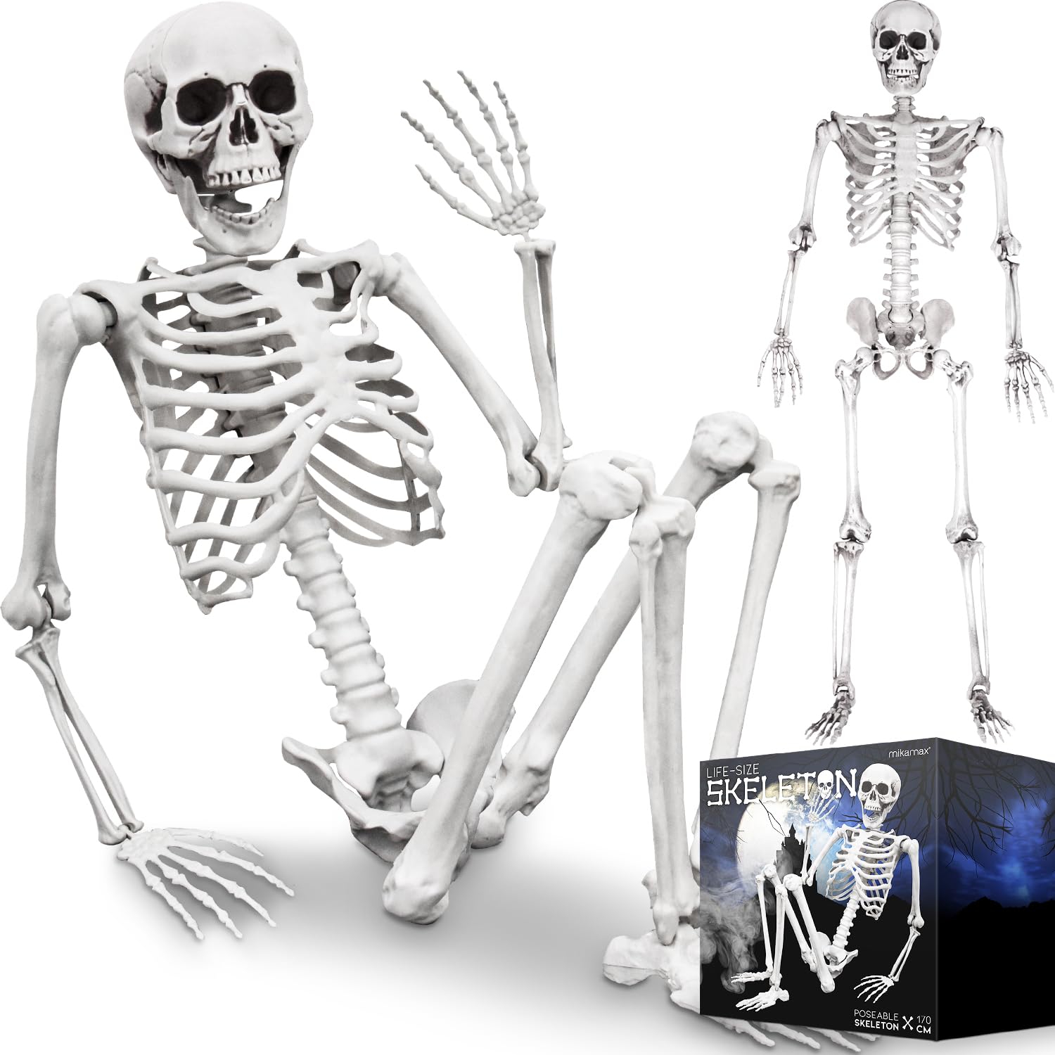 MIKAMAX Esqueleto de tamaño Real - 170 cm (04184)