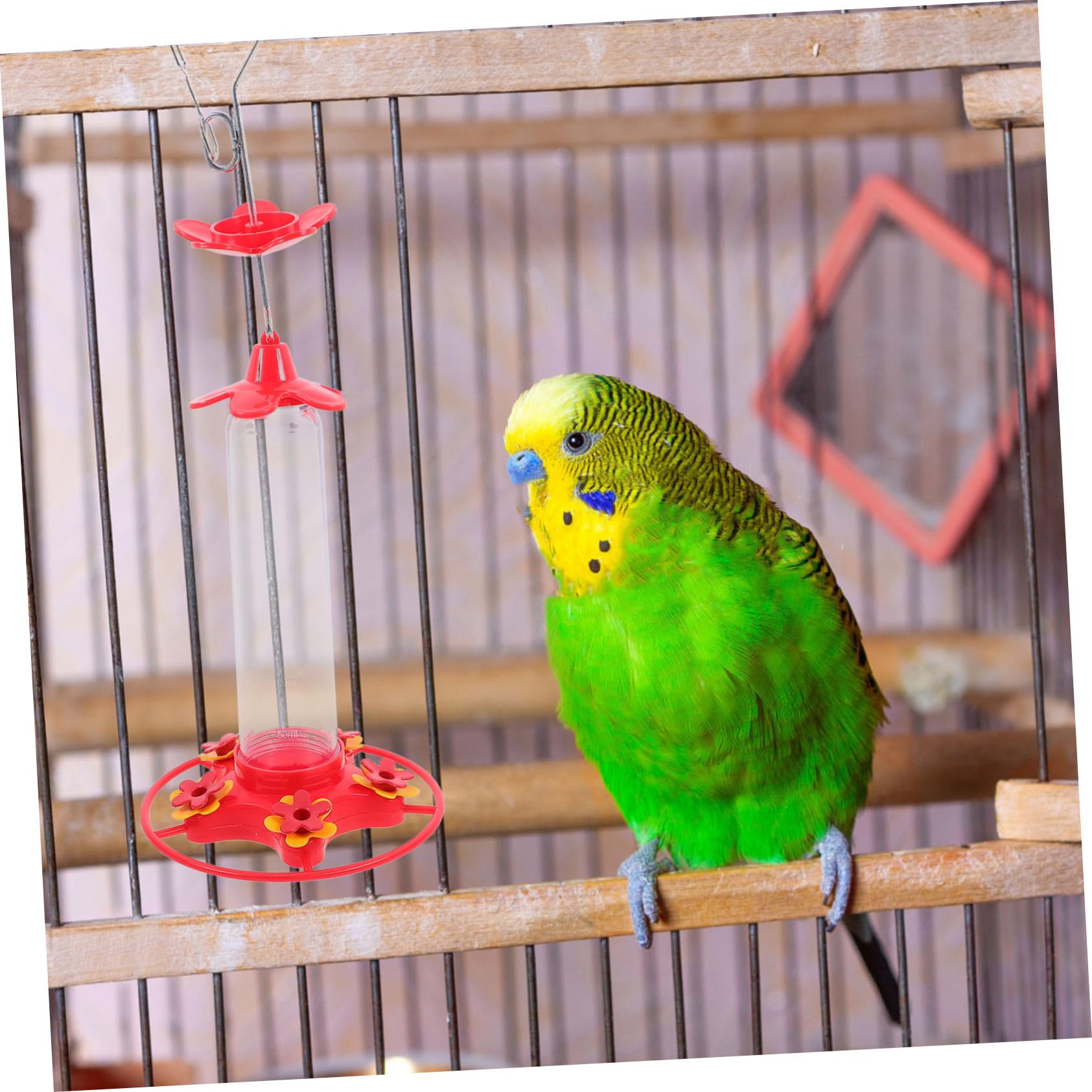 2pezzi Mangiatoia per Colibrì Sospesa Mangiatoia Decorativa per Uccelli Contenitore per Cibo per Uccelli da Giardino