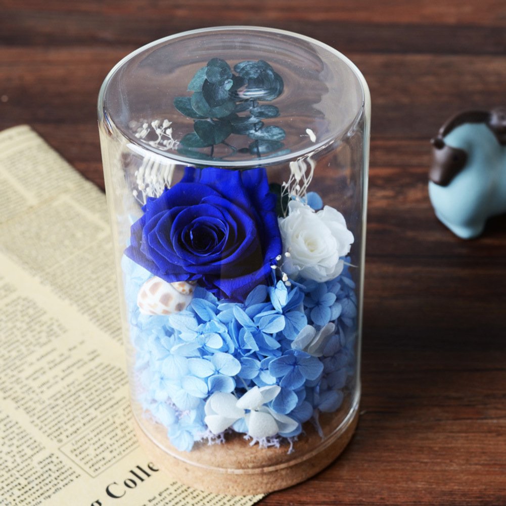 Fleur immortelle en tube de verre bleu pour illuminer votre salon