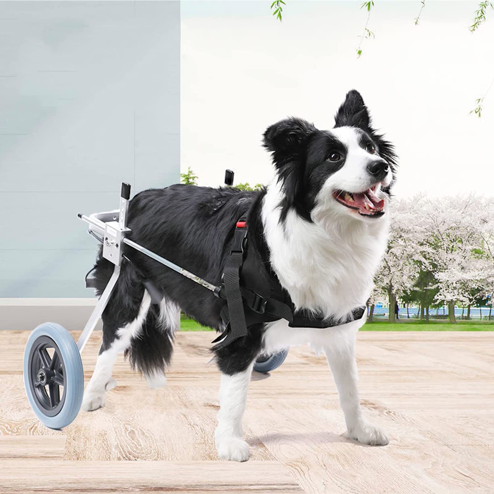Amazon.co.jp: 前足と後足用の犬用ペット用車椅子障害のある小型犬犬用