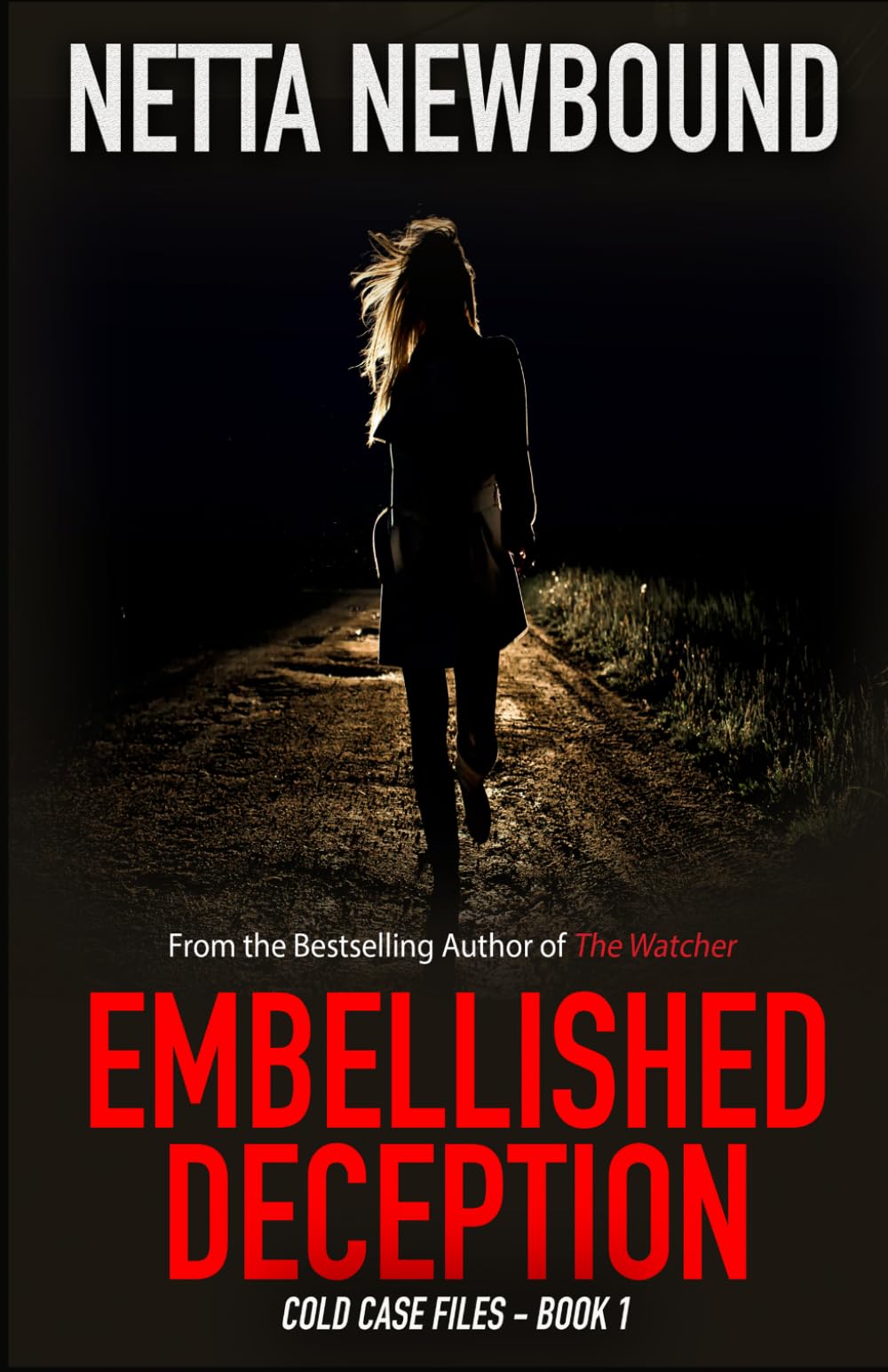 Embellished Deception: A Romantic Psychological Thriller Novel: 1 (Cold Case Files)