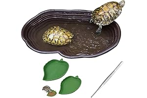Reptile Bathing Pool with Steps for Turtles and Friends