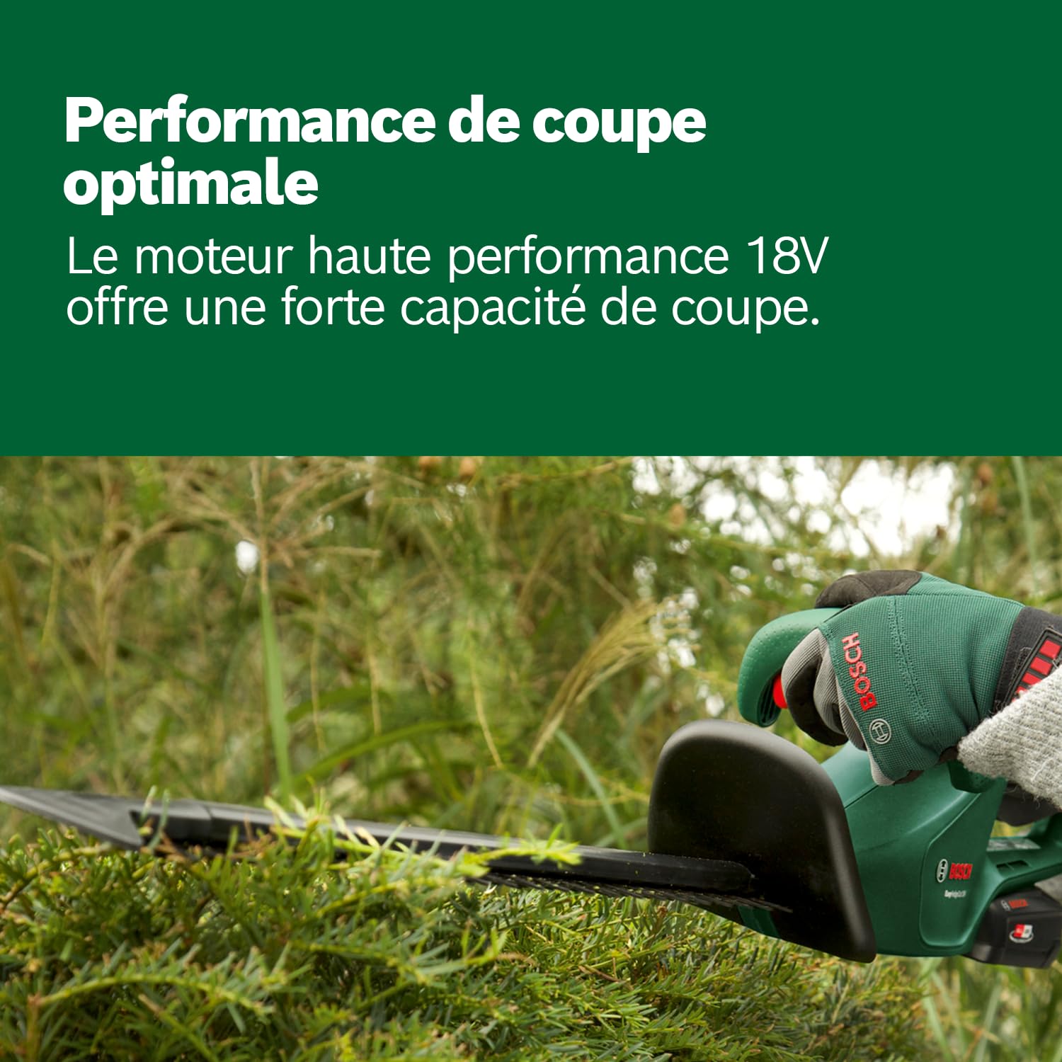 Bosch EasyHedgeCut 18-45 Taille-Haies sans Fil 18V 2,0Ah Lame 45cm