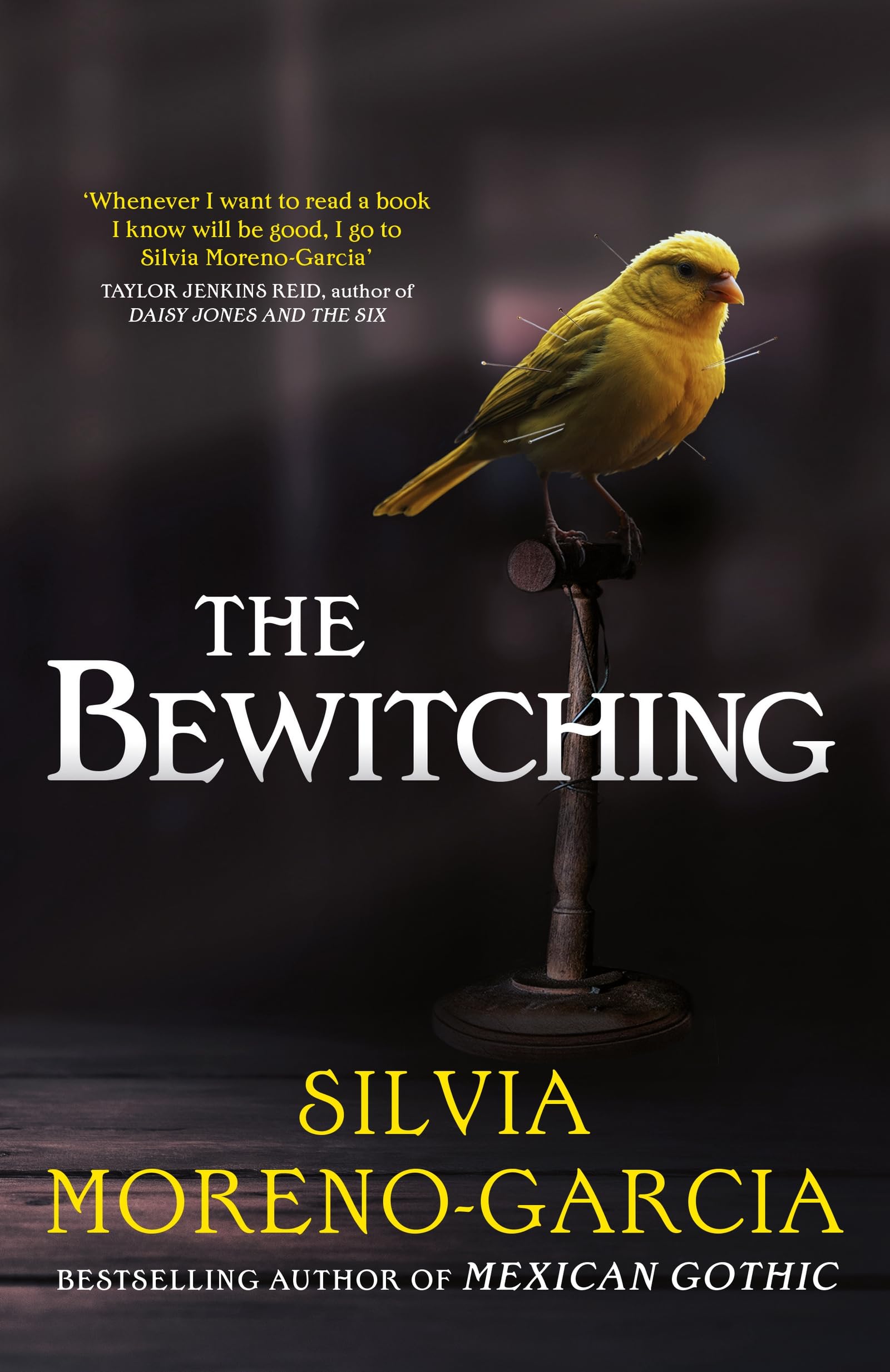 The Bewitching: folk horror meets dark academia in this thrilling supernatural mystery from the bestselling author of Mexican Gothic