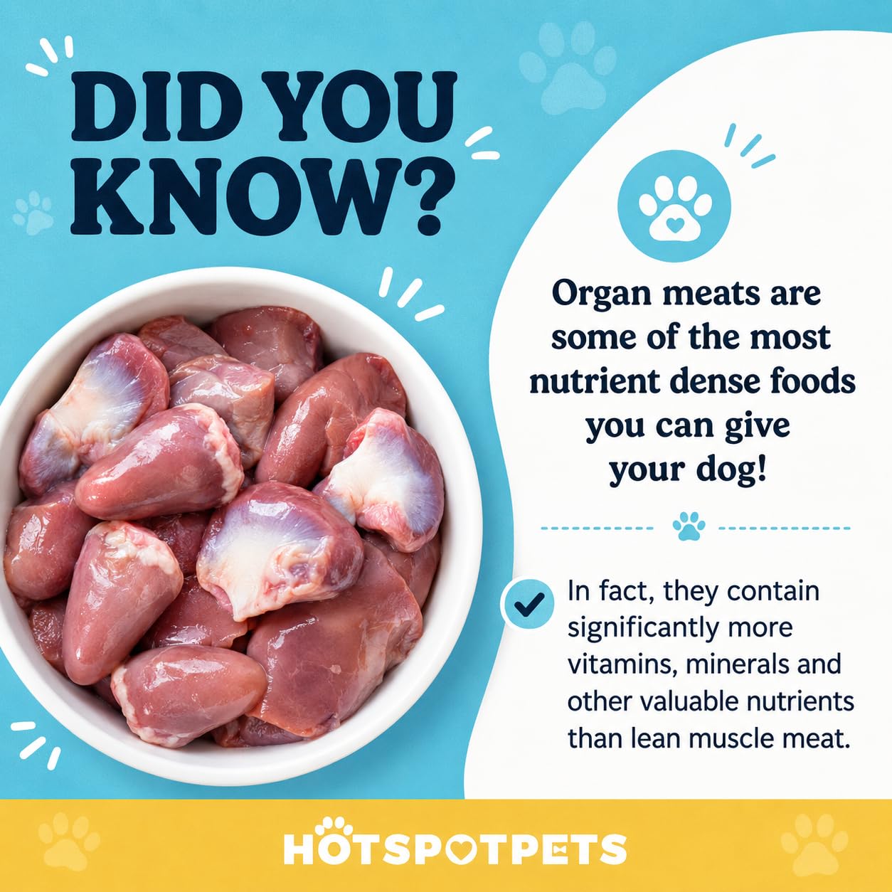 hotspot pets Corazones de pollo liofilizados para perros y gatos, bolsa grande de 450 g, fabricado en Estados Unidos, un solo ingrediente, totalmente natural, sin granos, bolsa resellable, perfecta