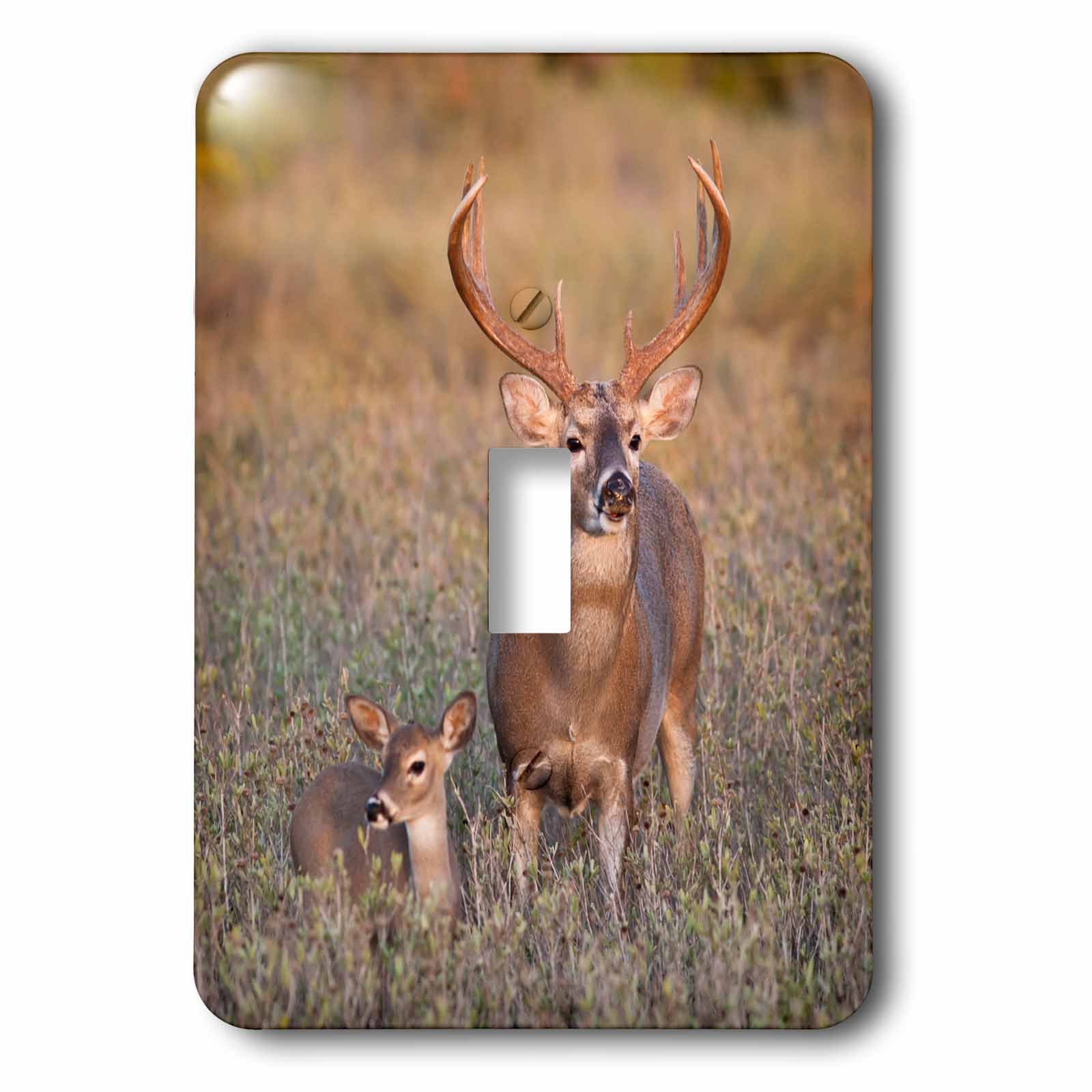 Interrupteur cerf faon Texas blanc pour remplacer une plaque electrique abimee