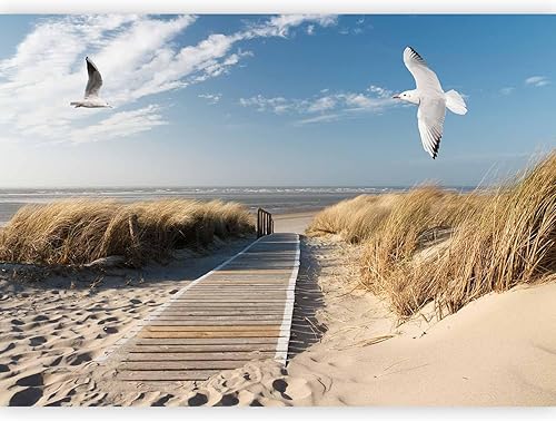 artgeist Mural de pared premium Playa 98 x 69 pulgadas, papel tapiz no tejido, decoración de pared de vellón, impresión fotográfica, diseño de