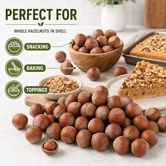 Anna and Sarah Oregon Large Hazelnuts in Shell Box, 10 Lbs (160 Oz) | 160 Oz, Whole Raw Filberts, Non-GMO, Fresh Buttery Taste, Easy to Crack, In Box