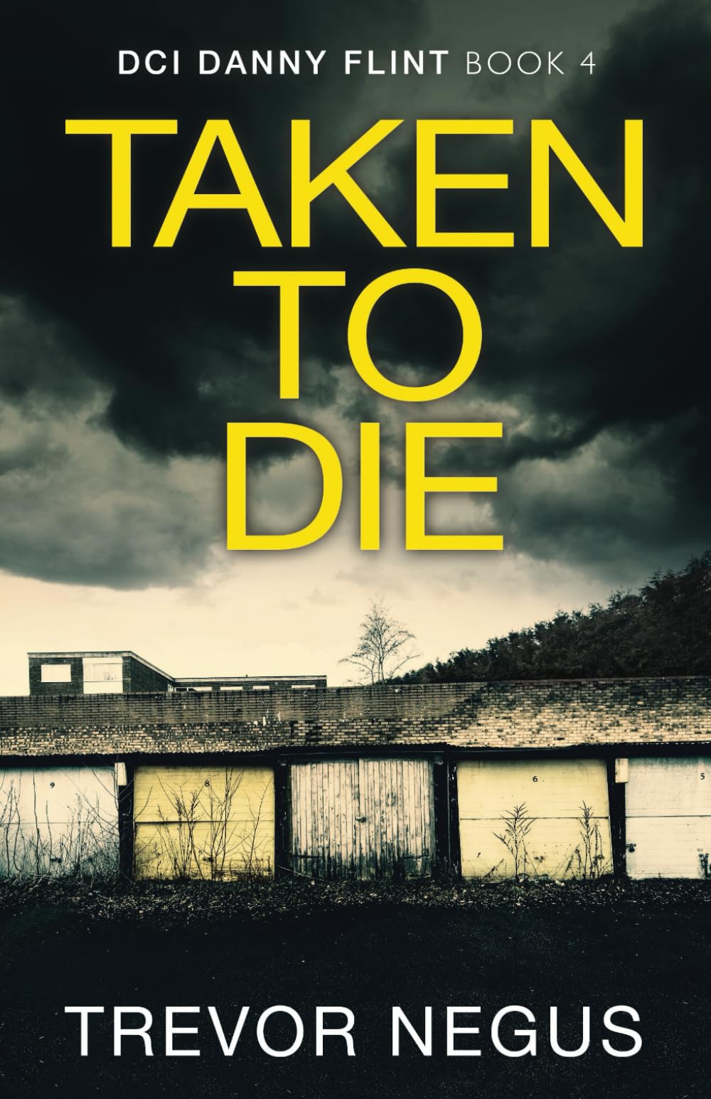 Taken to Die: A chilling crime thriller (DCI Danny Flint)
