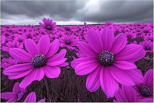 ZUMOOO Vintage Art Canvas, Modern Wall Decor for Bedroom WomenArtwork Wall For Bathroom Bedroom Office Living Room Home Wall Decor -