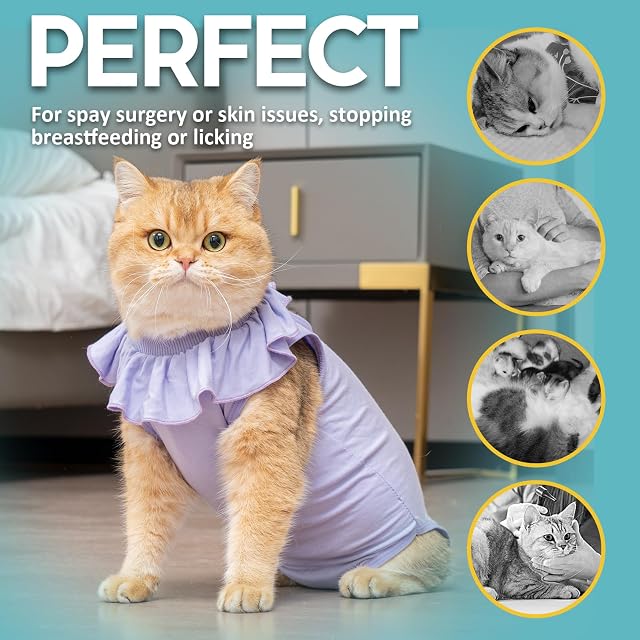 Foto 4 de 7 de Avont Traje de Recuperación para Gatos