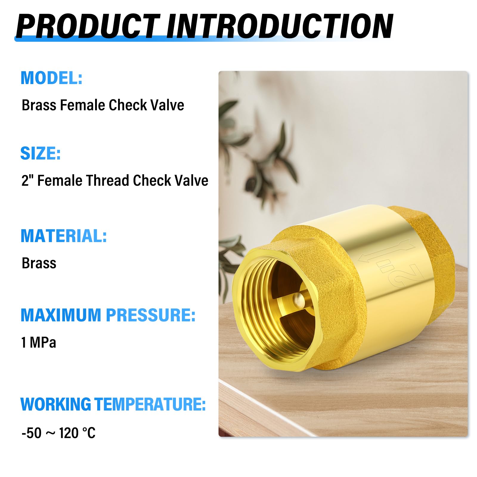 TAILONZ PNEUMATIC 2 piezas Válvula de retención de latón 2" Rosca hembra, prevención de reflujo, válvulas de retención unidireccionales
