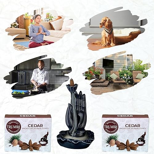 Miniatura 3 de Conos de incienso de reflujo de cedro  Total de 20 conos de incienso en cascada  Paquete doble de 10 conos de incienso de reflujo  Conos de incienso