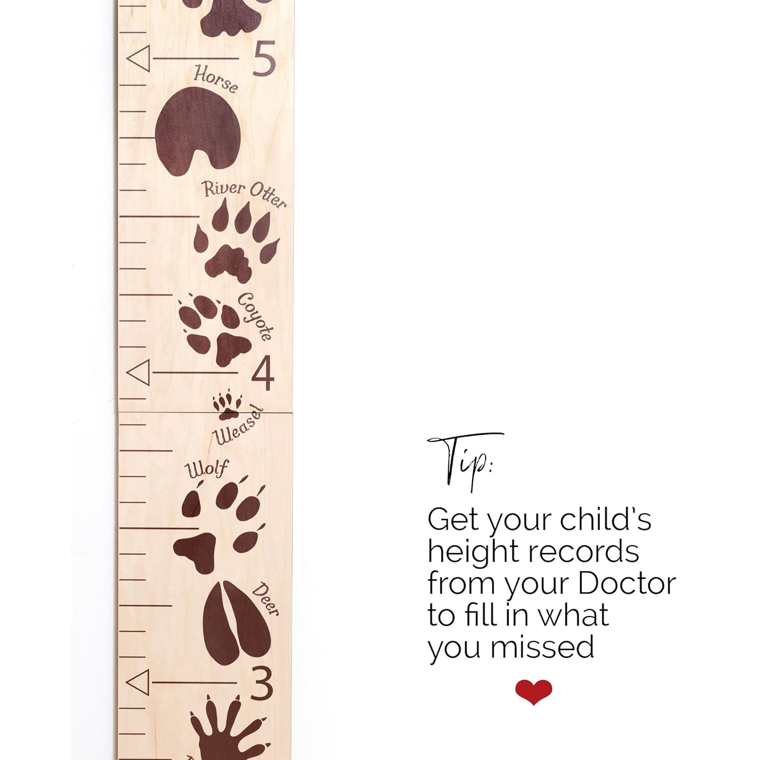 Headwaters Studio Safari Height Growth Chart - Nursery Animal Tracks Wall Decor, Wooden Growth Chart, Height Chart for Kids, Growth Chart for Wall, Baby Height Growth, Growth Record, Height Ruler