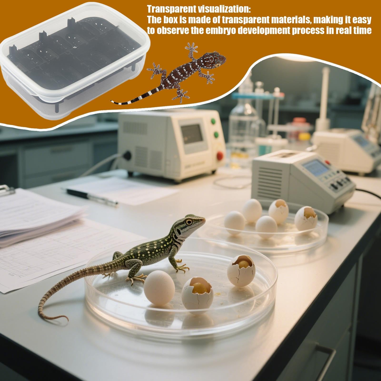 Snake Terrarium, 14 siatek Gecko Hatching Basin, Transparent Breeding Box, Compact Reptile Habitat Container, 7,09 x 5,12 x 1,97 , do użytku w górach, Scorpion and Indoor Breeder
