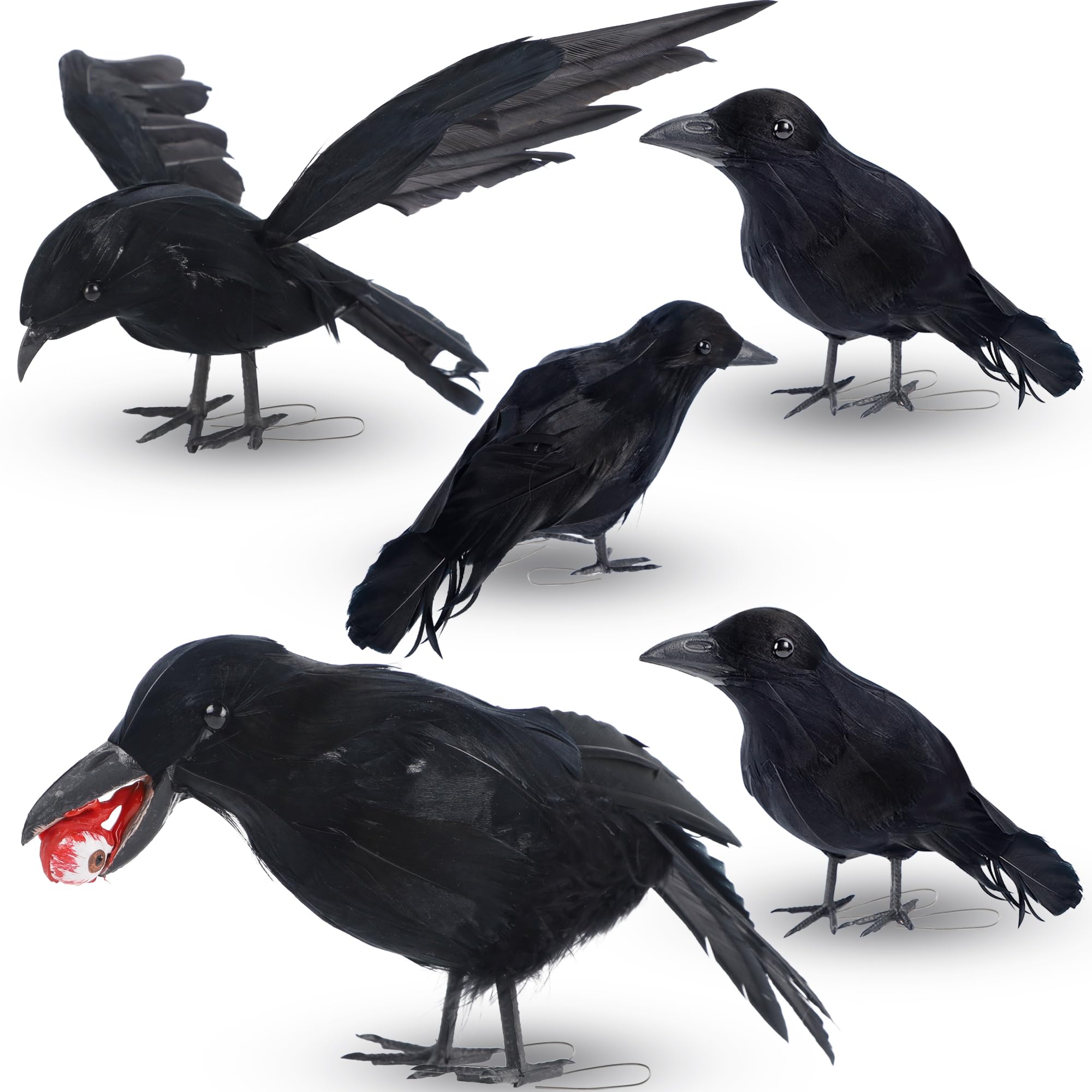 DR.DUDU 5 Pack Halloween Crows Halloween Decor Indoor &amp; Outdoor, Black