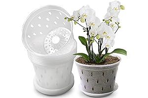 Orchid Pot for Indoor Plants, 7-Inch Clear Plastic Orchid Pots with Holes and Saucers