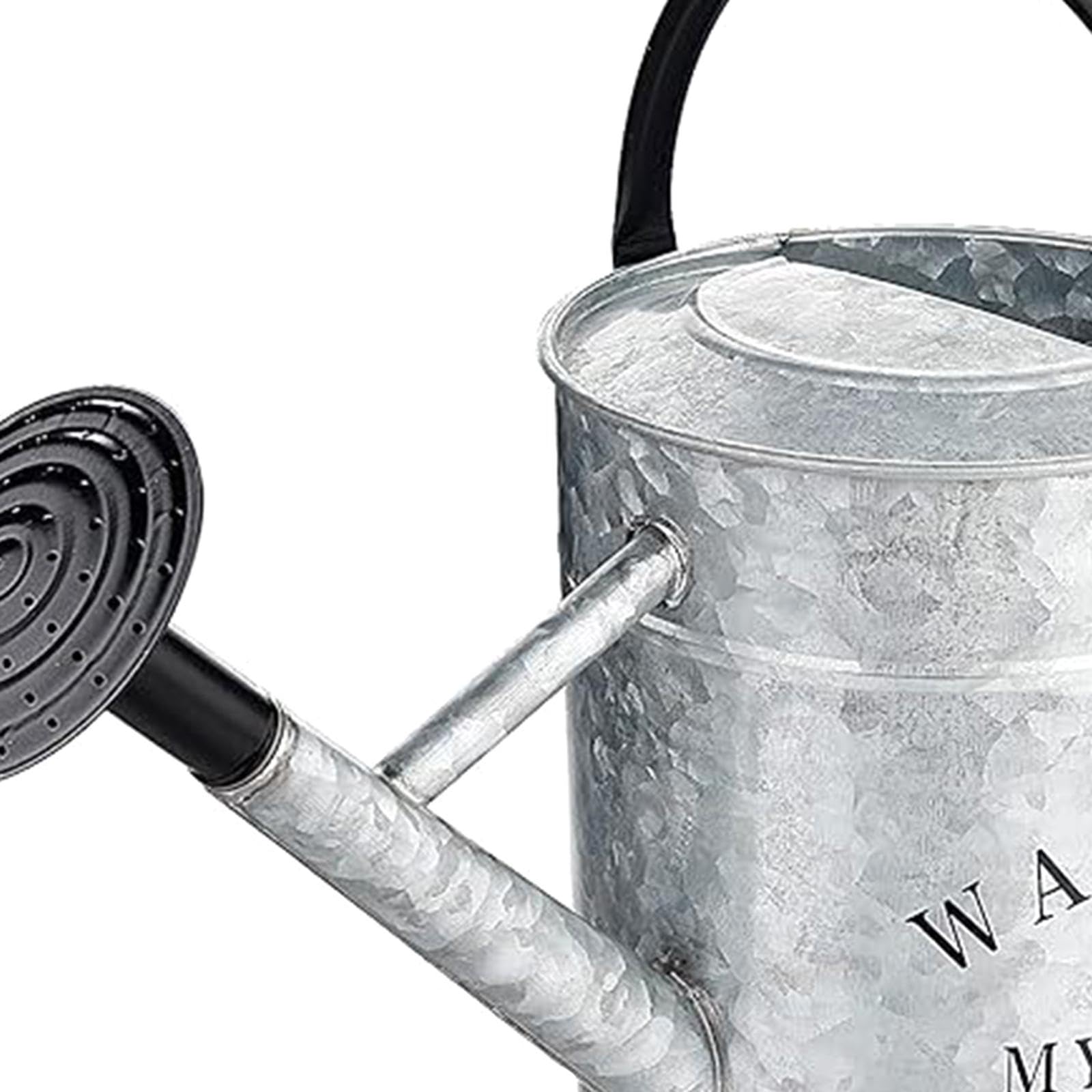 Regadera de Metal de 4 L para Jardín, Ideal para Patio, Césped Y Verduras.