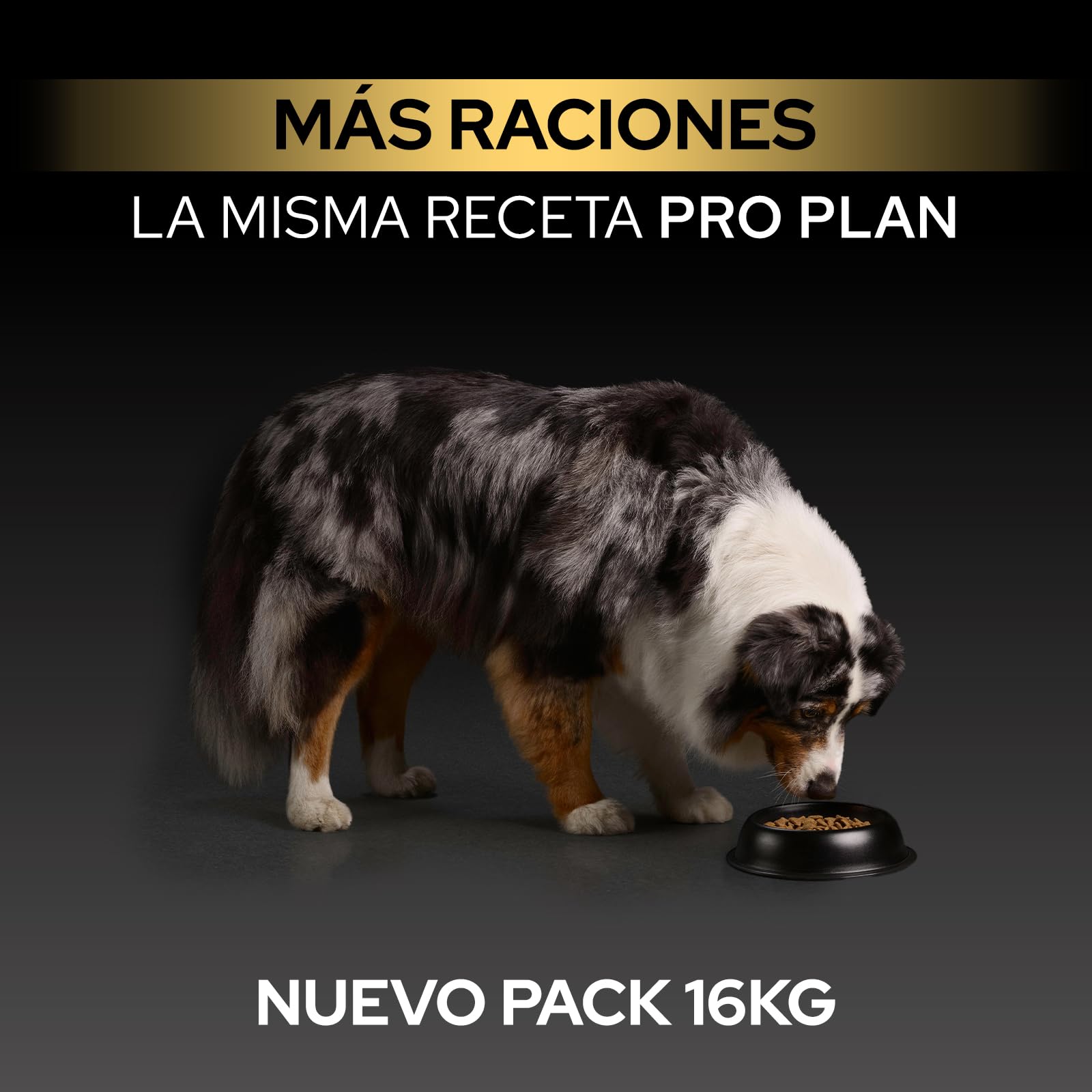 Purina Pro Plan Medium Adult Derma Pienso para Perro Mediano Adulto, Piel y Pelaje con Salmón, Saco de 16kg
