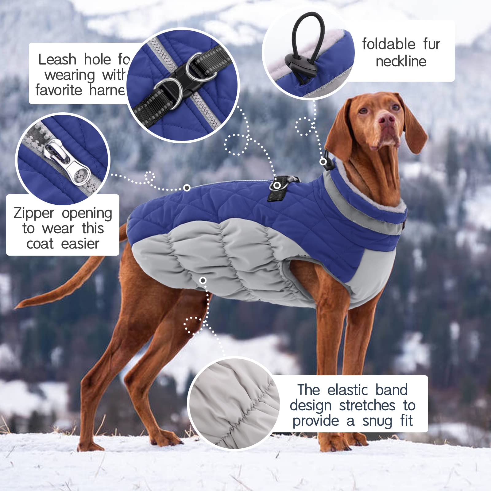 Kuoser Waterdichte hondenwinterjas warm, verstelbare reflecterende hondenjas met fleece voering, zachte comfortabele hondenjassen huisdierkleding voor X-Large honden, zwart L Kuoser Waterdichte hondenwinterjas warm, verstelbare reflecterende hondenjas met fleece voering, zachte comfortabele hondenjassen huisdierkleding voor X-Large honden, zwart L