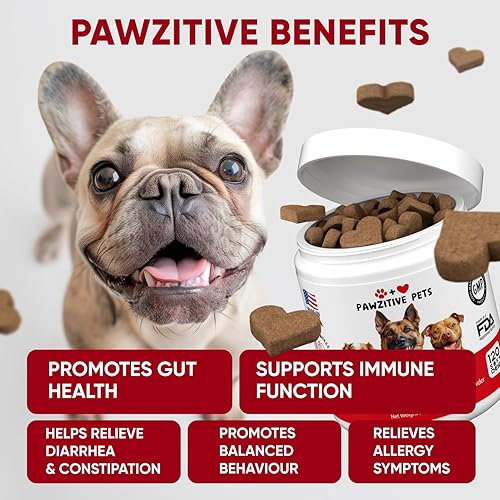 Miniatura 3 de Probióticos para la salud digestiva de los perros, masticables probióticos para la salud intestinal, levadura con picazón en la piel, diarrea,