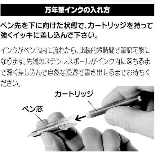 Miniatura 5 de PLATINUM Plátula estilográfica, punta fina Plaisir, rosa (PGB-1000-#21-F)