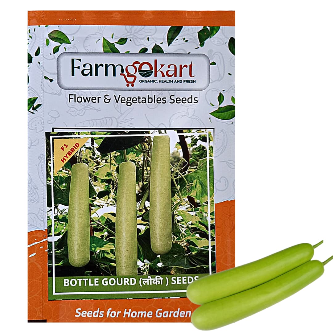 Farmgokart |BOTTLE GOURD (LAUKI) HYBRID F1 SEED |15 Seeds per Packet | Best Suitable For Home Gardening | (B09Q5DK2BF) Amazon Price History, Amazon Price Tracker
