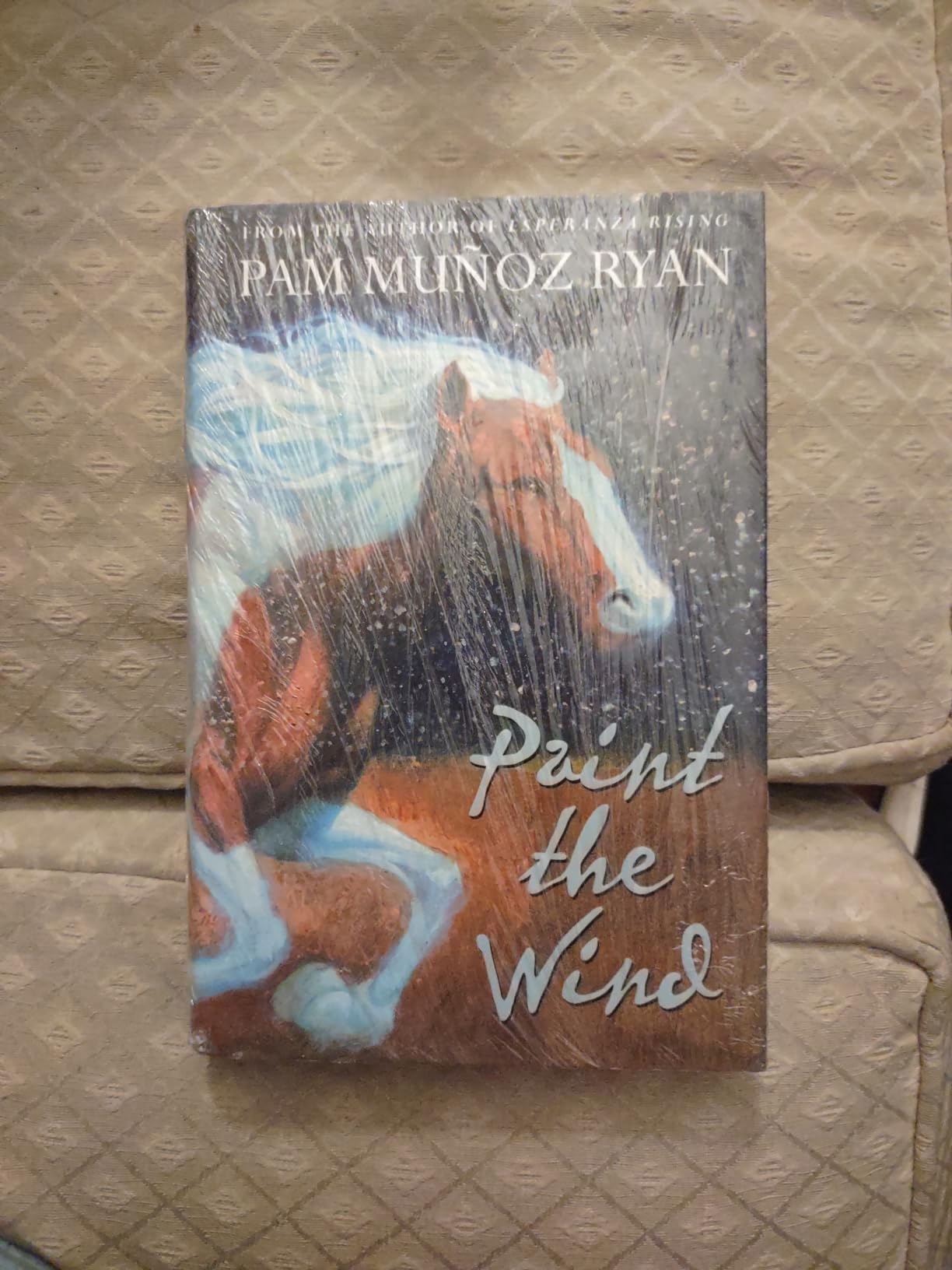 In Perfect Condition!