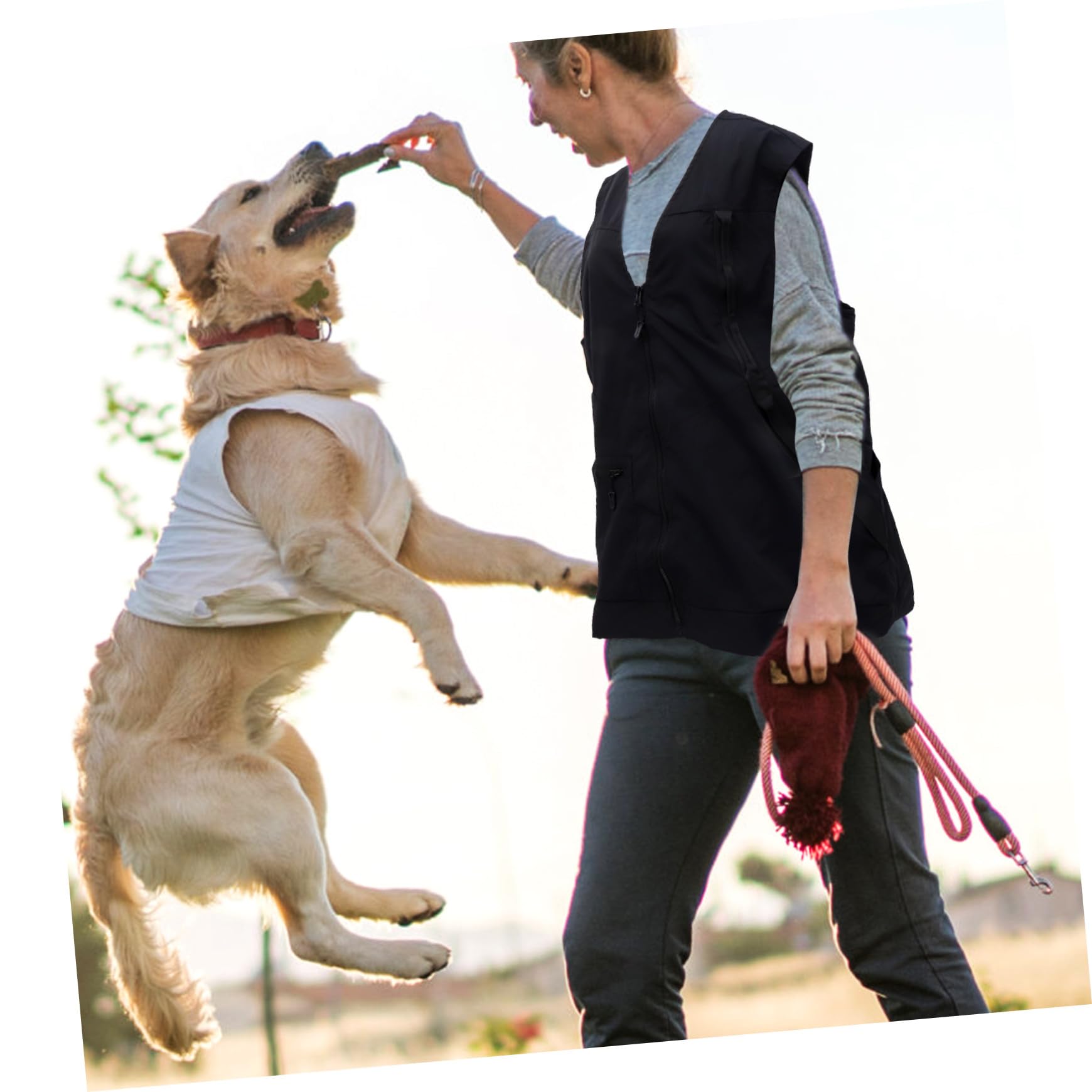 TEHAUX Sicherheitsweste für Hunde Winddicht mit Verstellbarem Schnappverschluss Seite Große Tasche dem Rücken und Seilschlaufe für Zubehör für Hundetraining und Aktivitäten im Innen und A