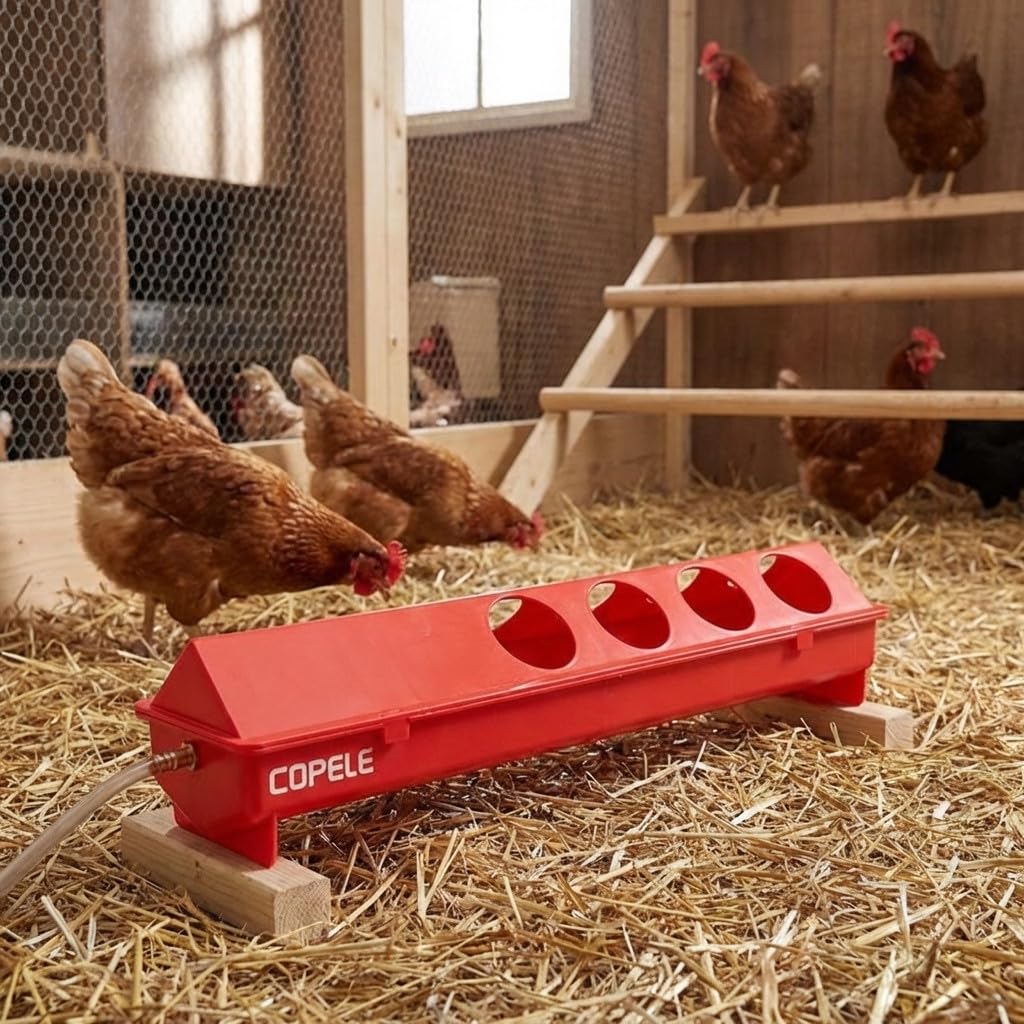 Abbeveratoio automatico galline 50 cm, misure 51x12x12 cm