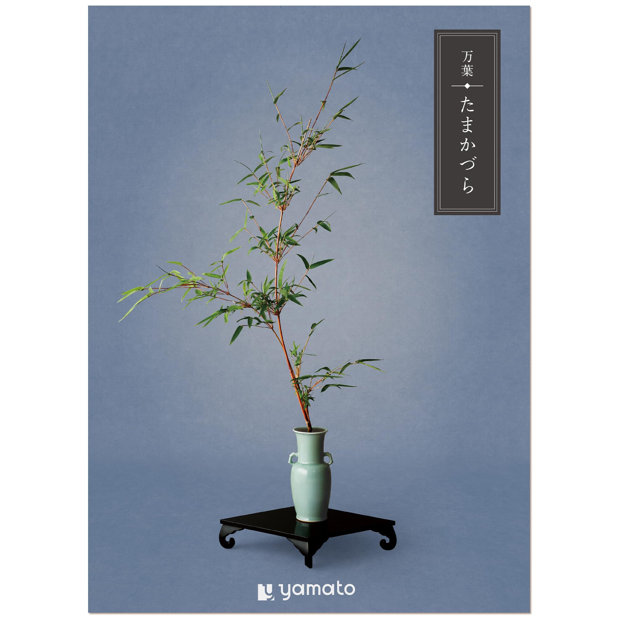 ギフトカタログ　万葉 ＜たまかづら＞ Amazon.co.jp: ヤマト カタログギフト 万葉 (まんよう) たまかづら