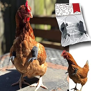 Chicken T-Rex Arms Strong Muscle Chicken Arms for Chicken to wear Muscle Arms of Chicken Chicken Forelimb Decoration Dinosaur Hand Muscle Prank Chicken Arms Toy Cosplay Costume