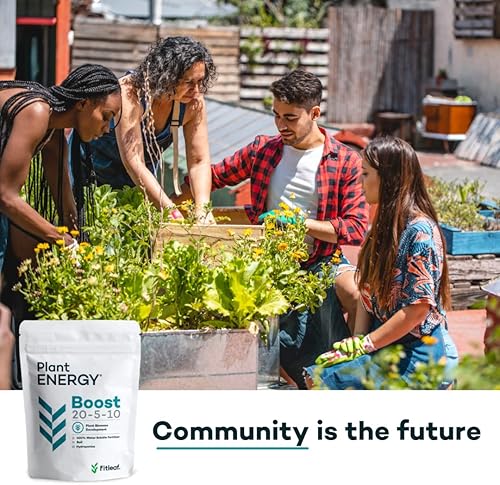 Miniatura 4 de Fitleaf Plant Energy Boost 20-5-10  El mejor alimento vegetal soluble en agua para un potente crecimiento vegetativo promueve hojas verdes