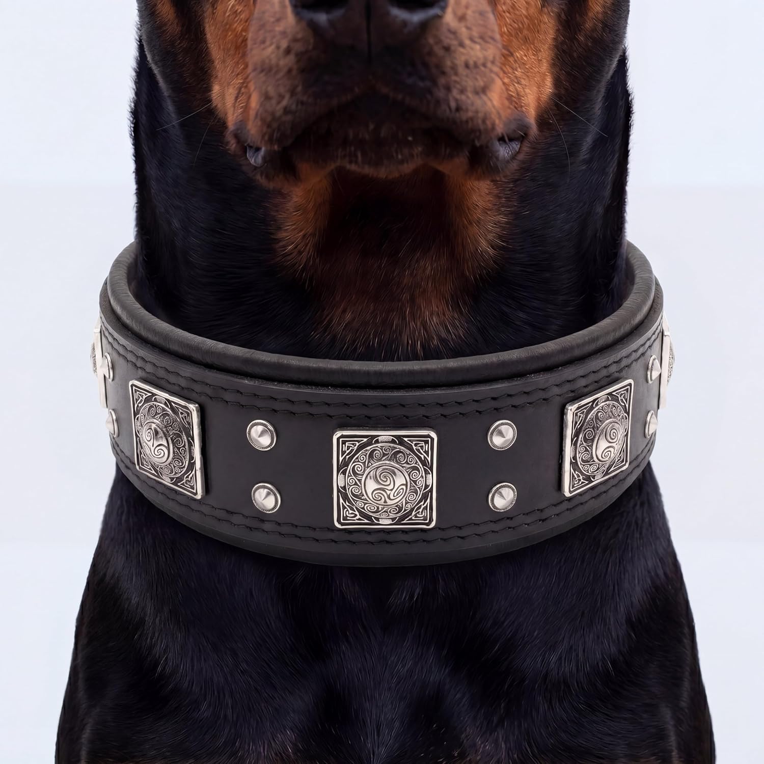 Bestia Eros'' Collar de Perro de Cuero Genuino Medio. Razas de Grandes tamaños. 100% Cuero. Clouté.rembourré. Hecho a Mano en Europa