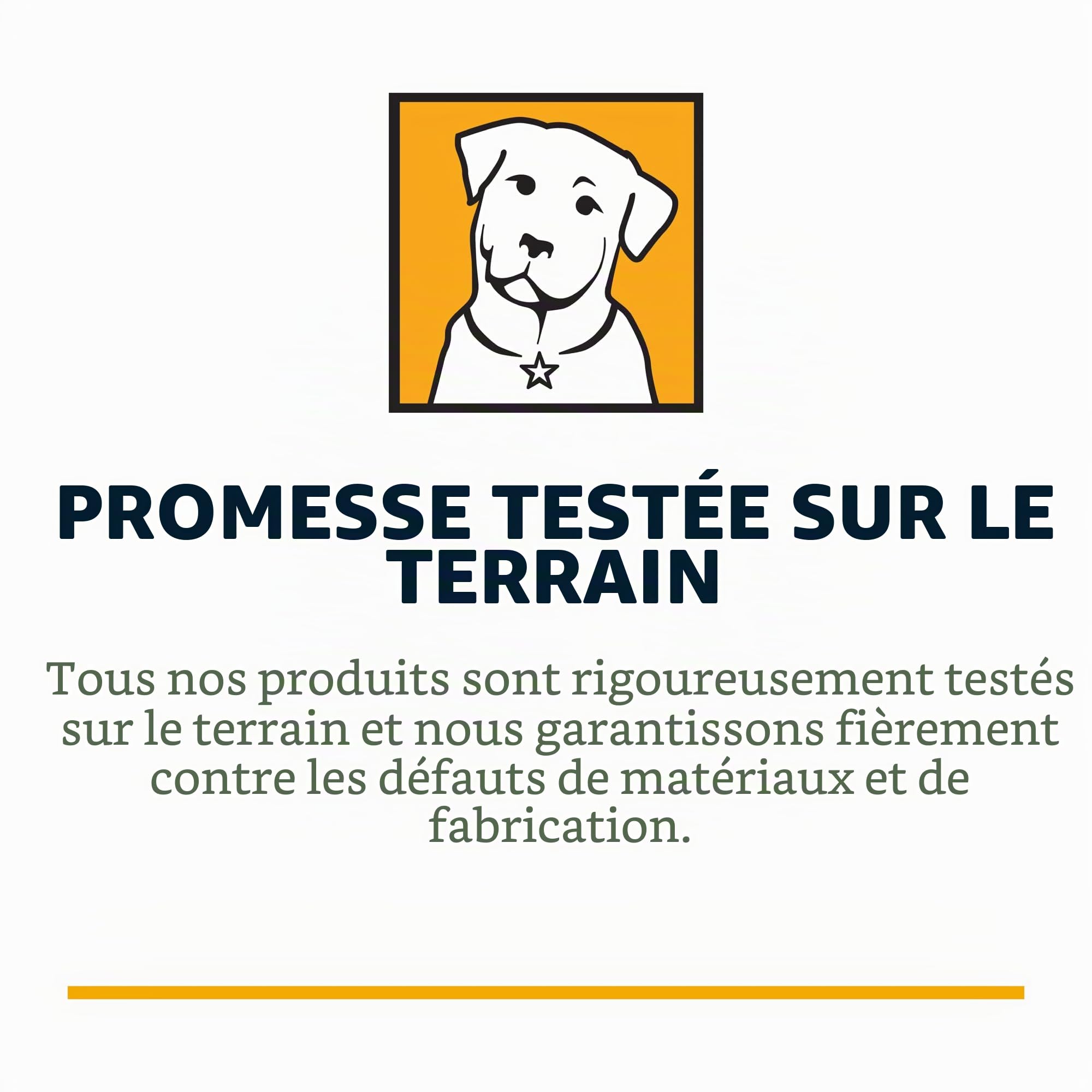 Ruffwear Web Master Harnais pour Chien avec poignée et Boucle améliorée, réglable et léger pour Les promenades et randonnées, Anti-Fuite, sans Traction, Respirant et Confortable, Blaze Orange, L/XL