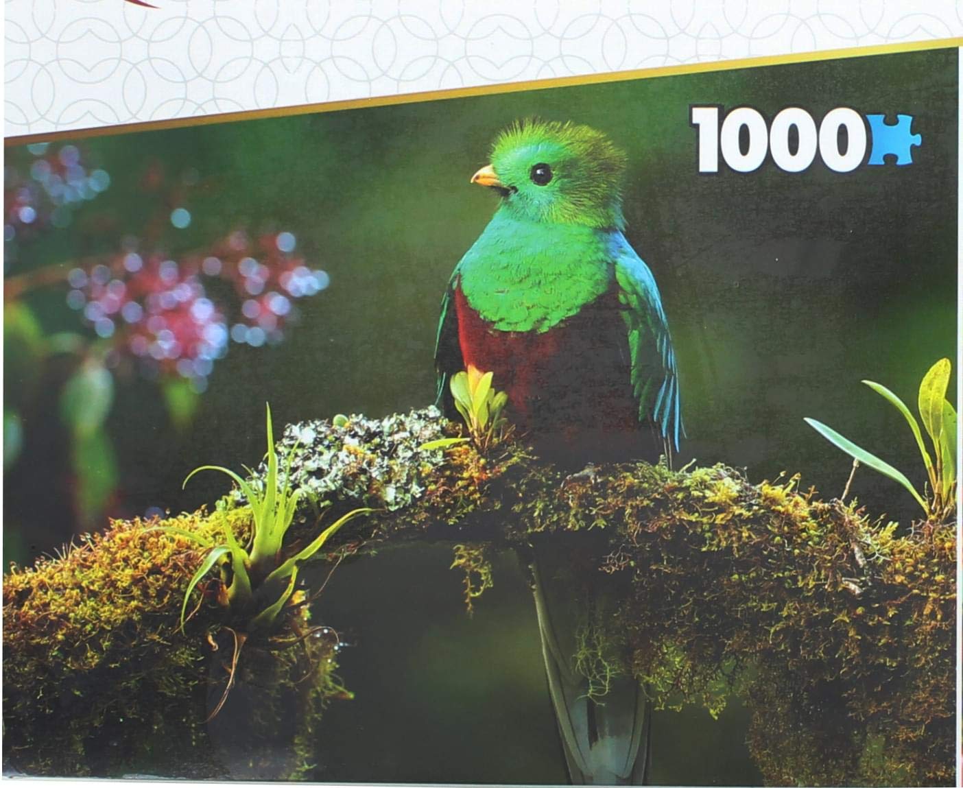 Zestaw 2 pamiątek 1000 sztuk puzzli | Kolorowe ptaki