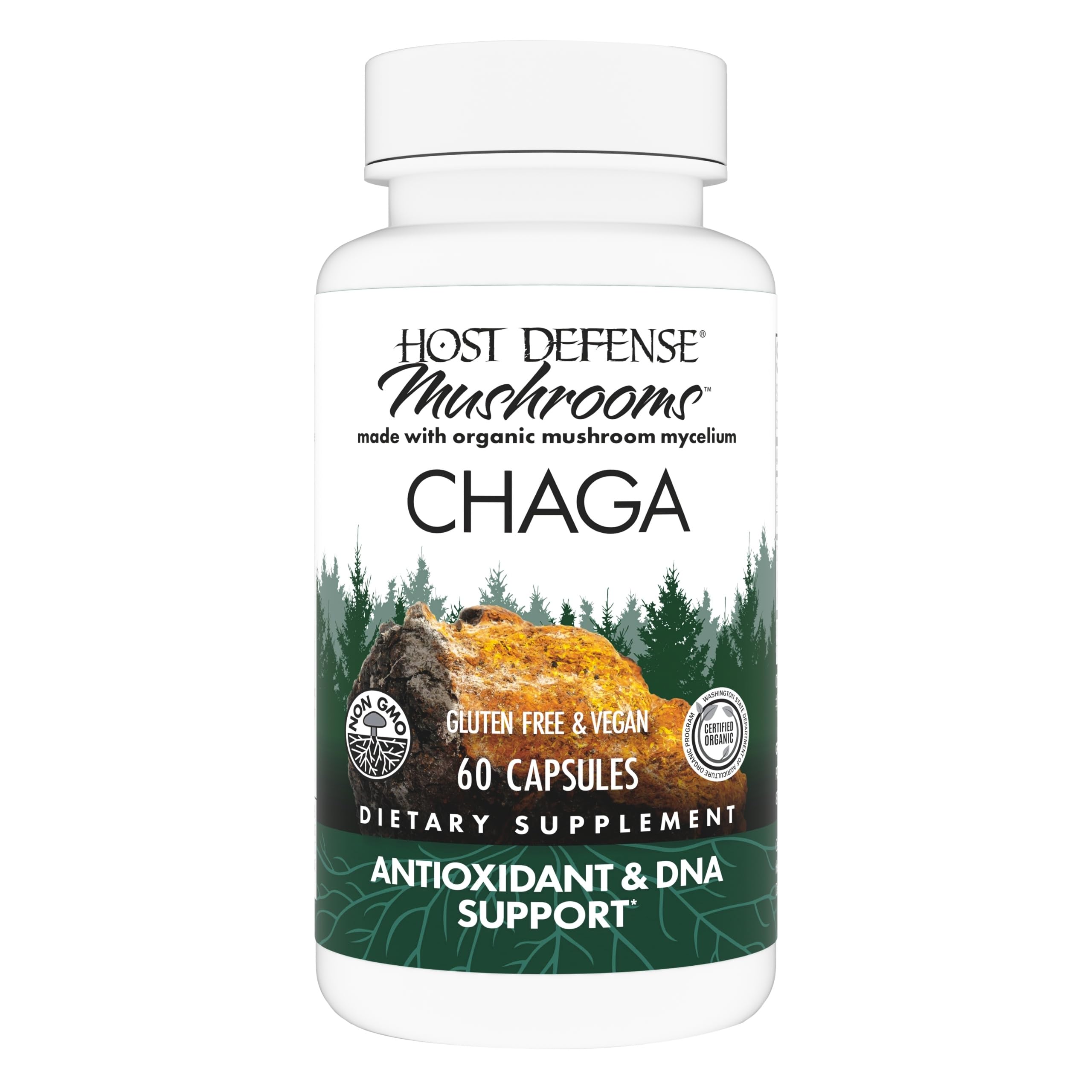 Chaga Capsules - Immune System Support Supplement - Chaga Mushroom Capsules for Antioxidant Activity Support - Dietary Mushroom Supplement - 60 Capsules (30 Servings)*