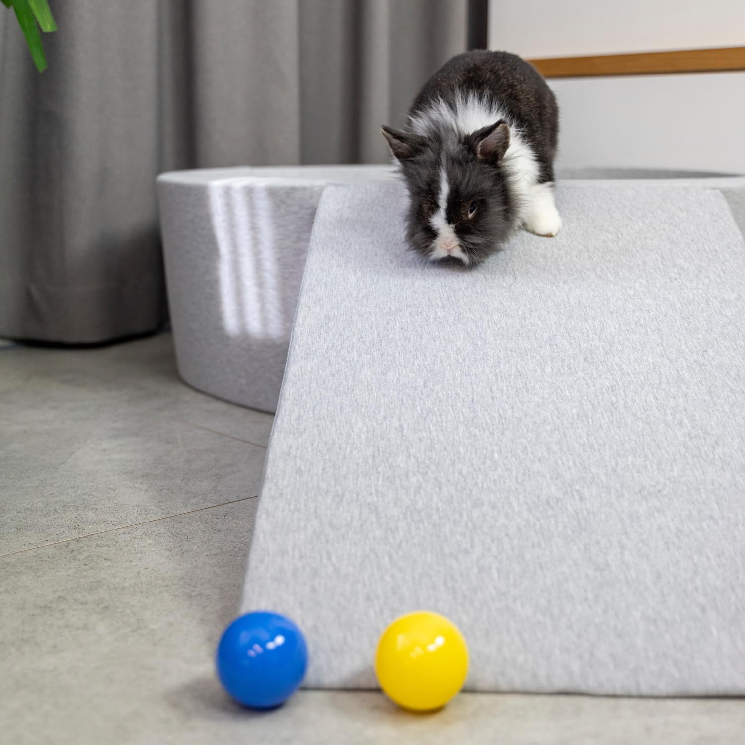 Rampa Per Cani E Gatti, Schiuma Scale Per Animali, Rivestimento Sfoderabile E Lavabile, Grigio Chiaro