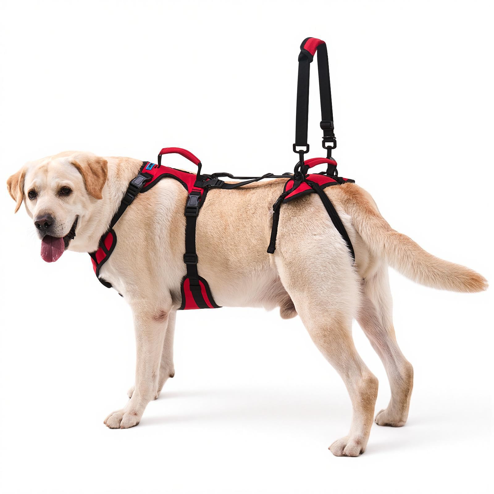 Lafoty Dog Lift Harness Red XL