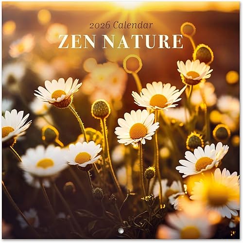 Miniatura 6 de Calendario de pared de gatos 2024 de 12 x 12 pulgadas, libre de plástico FSC, comienza la semana el domingo, planificador de 12 meses, calendario de