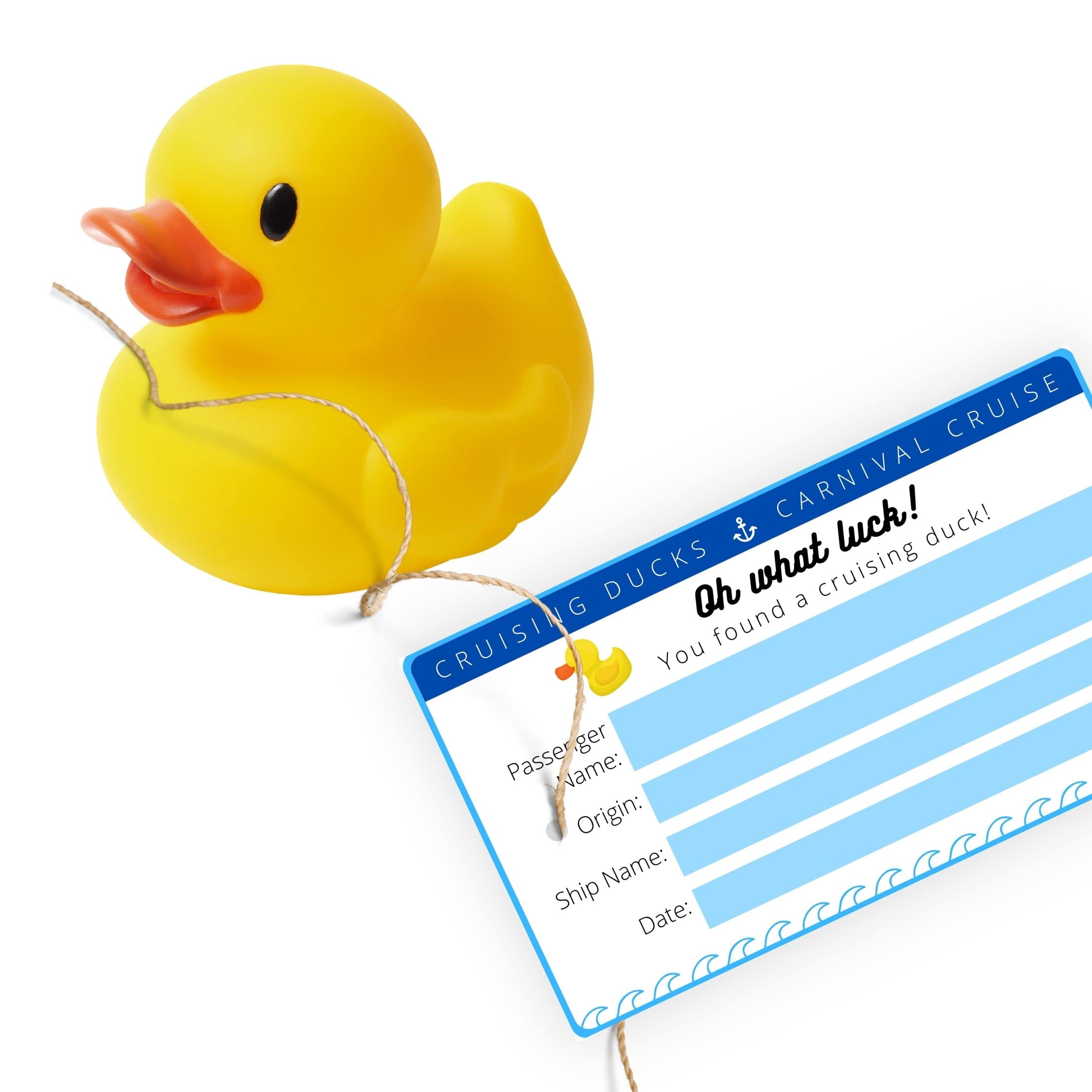 Amazon.com : Cruising Ducks Tag with Hole | 30 Pack | Double Sided with  Facebook QR Codes | Tags 2 x 3.5" inches Business Card Size |  #CruisingDucks Oh What Luck! : Office Products