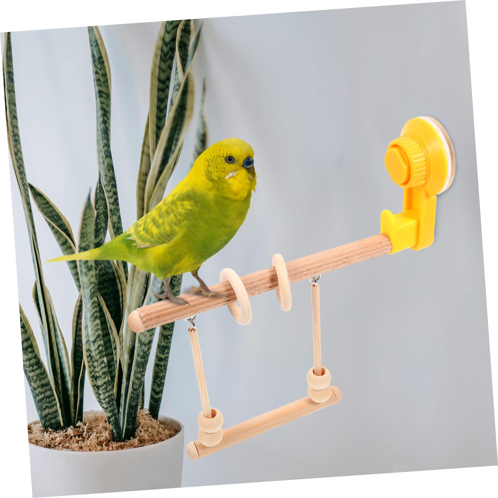5 Stücke Vogel Barsch Für Käfig Papagei Spielzeug Tasse Stehen Vogel Ausbildung Stand Papagei Zubehör