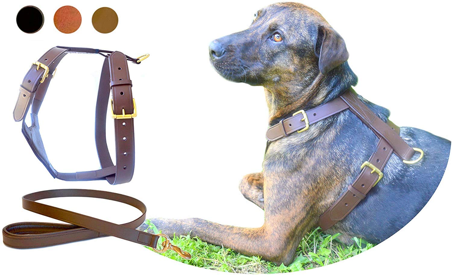 TUGBY XS/S/M/L/XL/XXL Dog Leather Harness Sets with Matching Dog Lead (Brown, M) - Image 3
