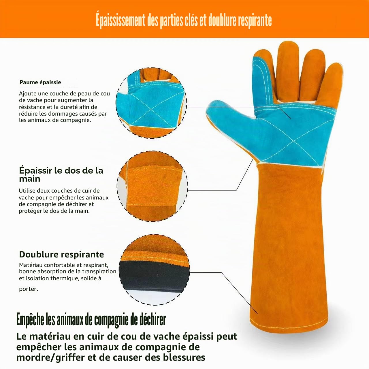 Gants de manipulation d'animaux en Kevlar résistant aux morsures et à la soudure, en cuir renforcé, résistant à la chaleur/à l'usure, pour dressage d'animaux domestiques, griffures de chat,