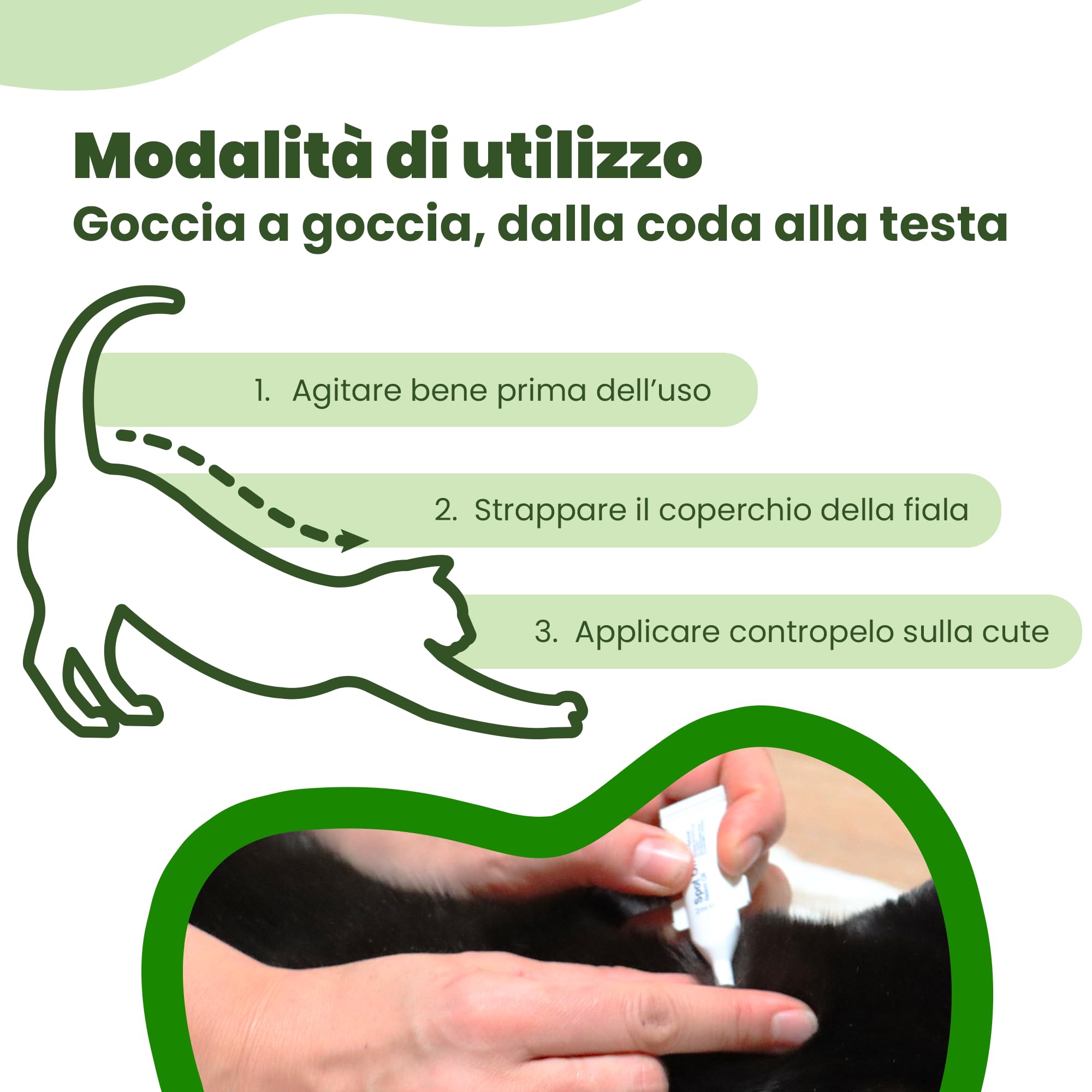 CAMON | Spot-On Protection Gatto, 5 Fiale da 2ml con Olio di Neem e Aminoacidi, Protezione Naturale