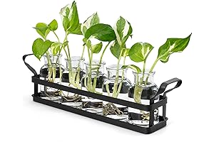 Mkono Plant Rooting Vase Hydroponics Glass Planter Flower Cutting Home Office Garden Decor