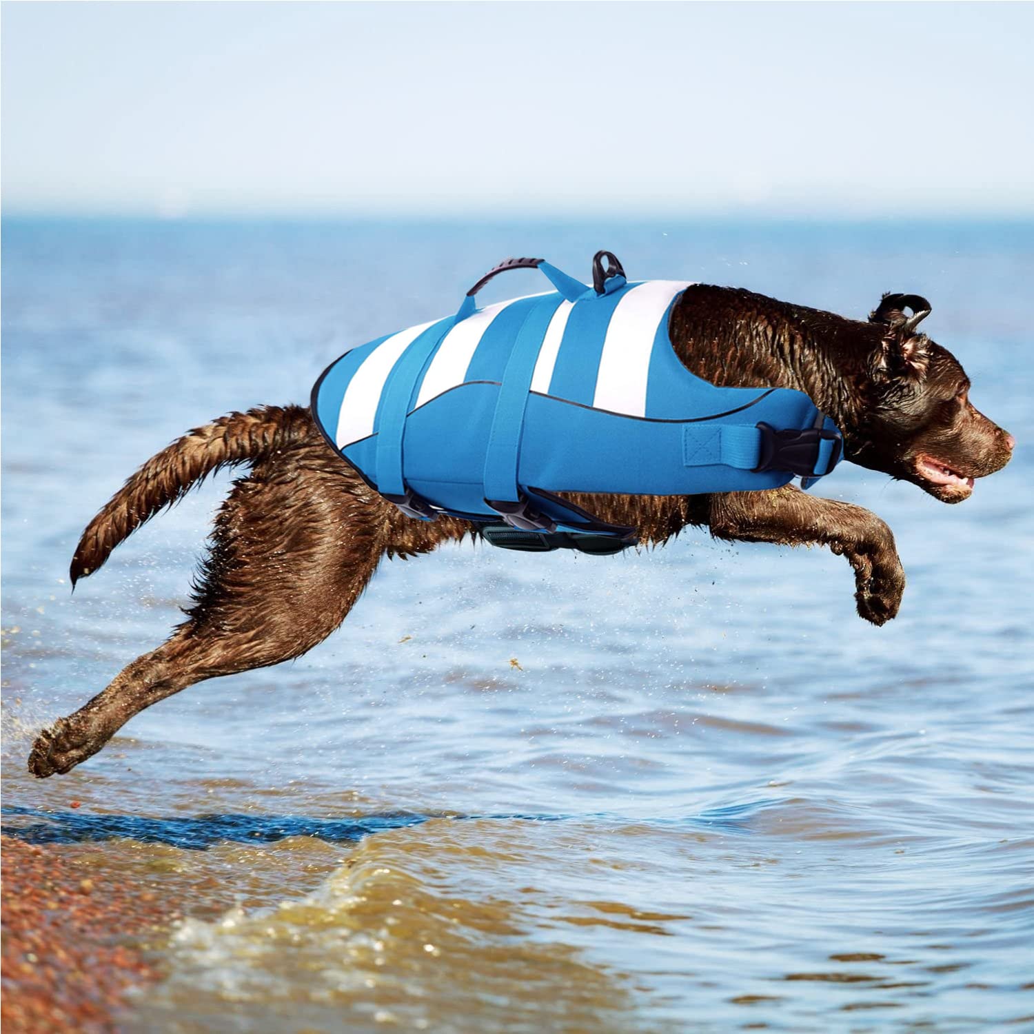 Chaleco Salvavidas para Perros, Chalecos de flotación Chaleco de Seguridad Ajustable para Mascotas con Asa & Banda Reflectante, Abrigo para Natación Flotante Duradero bolsa de aire para Nadar, Surf, Navegar
